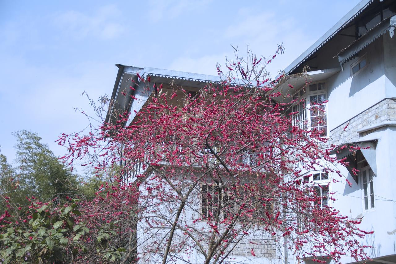 The Mazong Hotel Gangtok Dış mekan fotoğraf